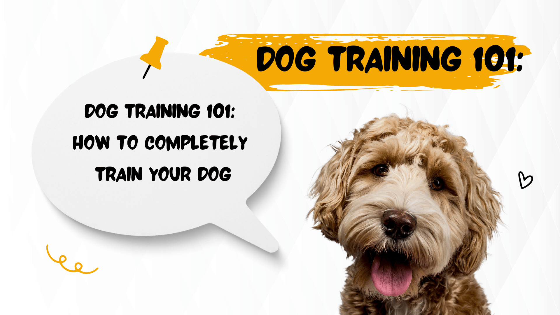 Dog Training 101: How to Completely Train Your Dog