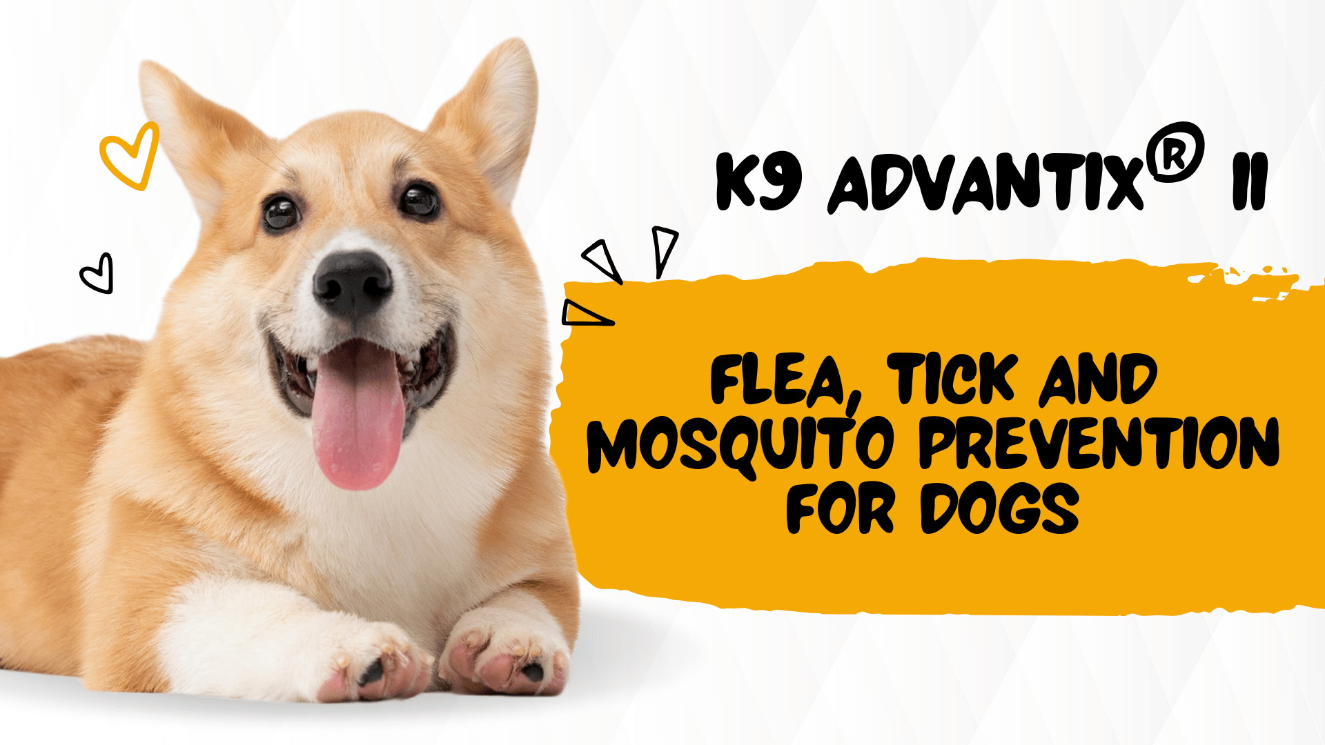 K9 Advantix® II Flea, Tick and Mosquito Prevention for Dogs