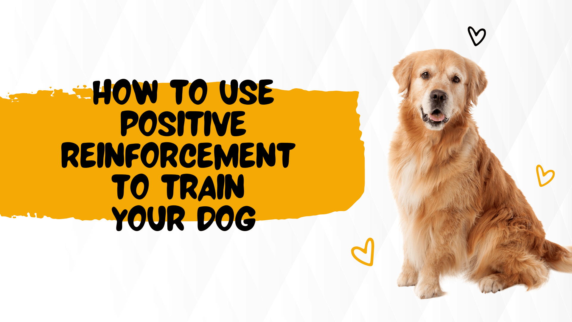 How to Use Positive Reinforcement to Train Your Dog