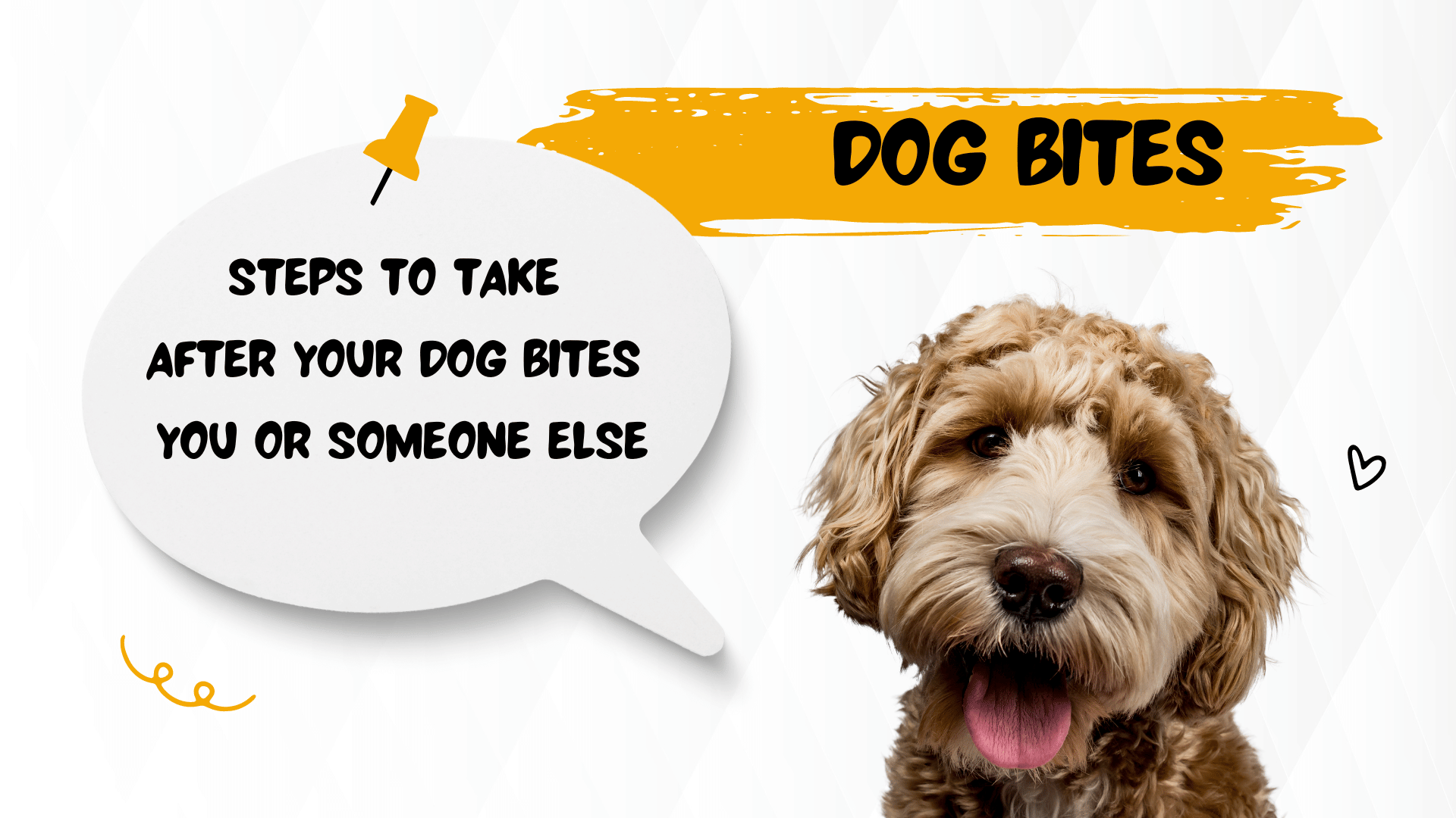 Steps to Take After Your Dog Bites You or Someone Else